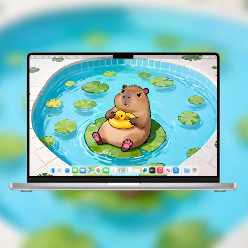 第一社区 - 高质量壁纸头像分享交流：高清壁纸×个性头像×独家素材