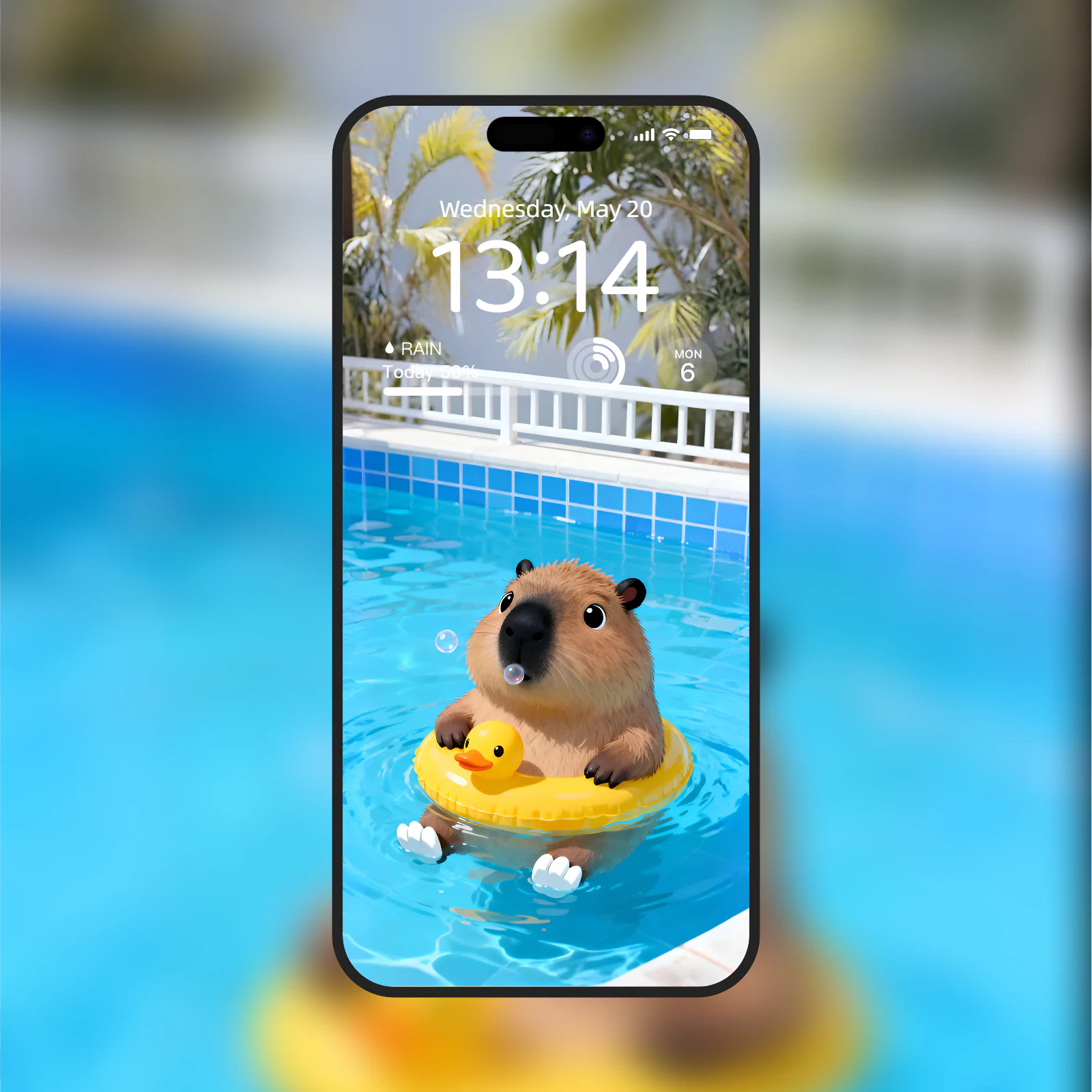 第一社区 - 高质量壁纸头像分享交流：高清壁纸×个性头像×独家素材